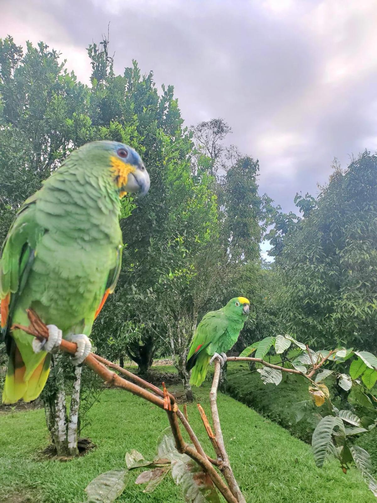 La Quinta De Andres Hotel San Isidro  Екстериор снимка
