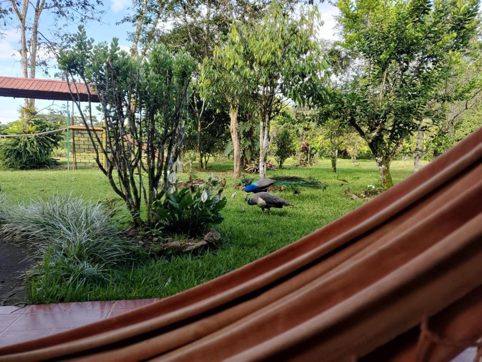 La Quinta De Andres Hotel San Isidro  Екстериор снимка