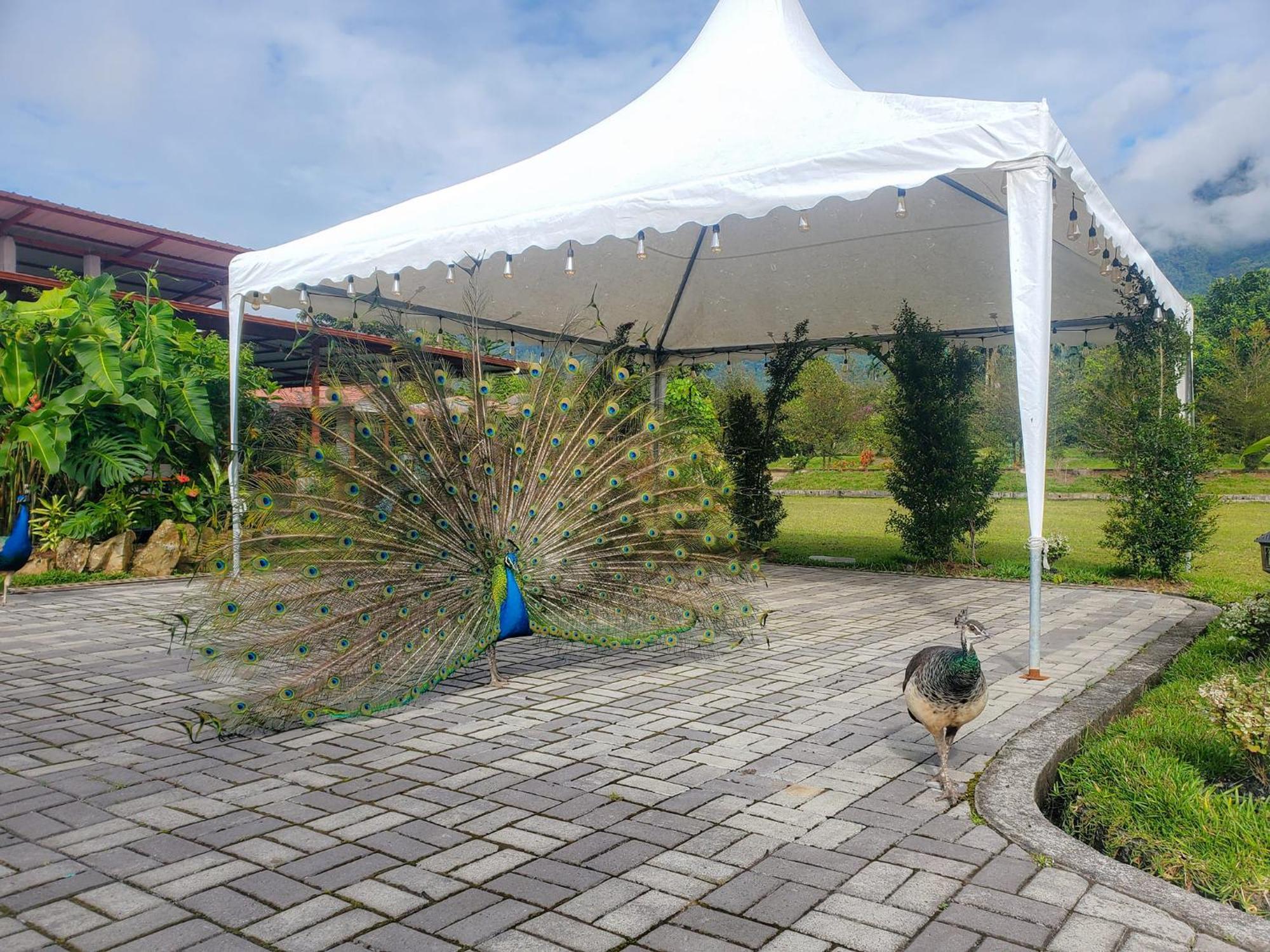 La Quinta De Andres Hotel San Isidro  Екстериор снимка