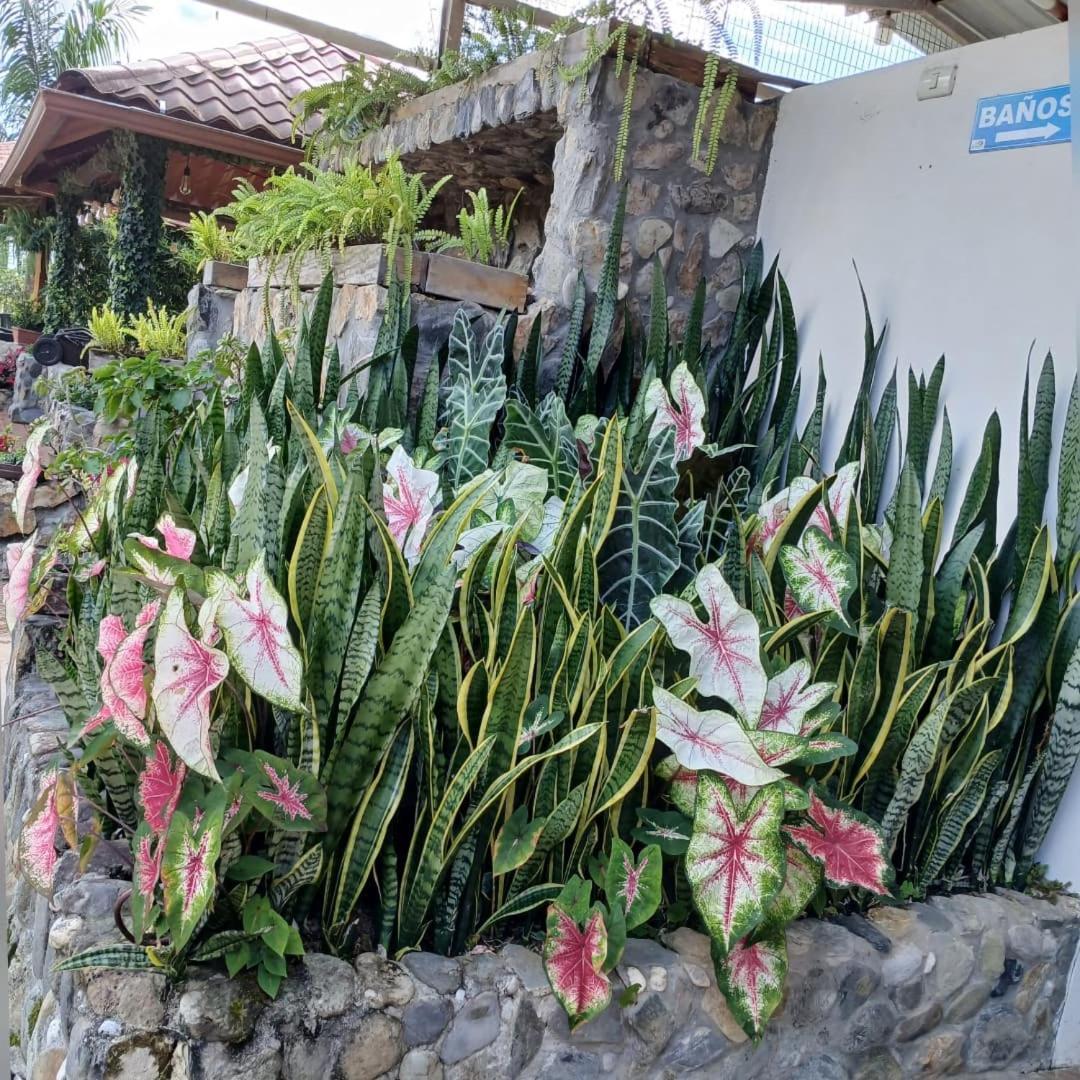 La Quinta De Andres Hotel San Isidro  Екстериор снимка